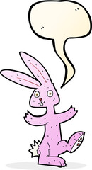 Fototapeta premium cartoon rabbit with speech bubble