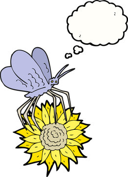 thought bubble cartoon butterfly on flower