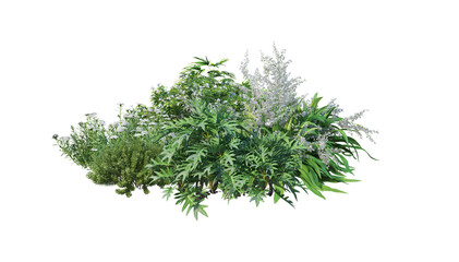 A small garden with many flowers and plants on a transparent background.