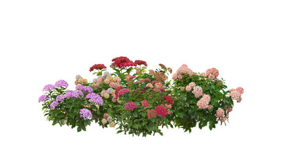 A small garden with many flowers and plants on a transparent background.