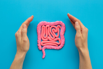 Human intestines colon organ shape with hands. Digestive tract problems colitis or colon cancer
