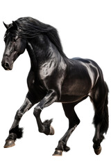 Naklejka na ściany i meble an equestrian-themed photographic illustration of a black stallion horse rearing and running on a transparent background in PNG. T-shirt design. Generative AI