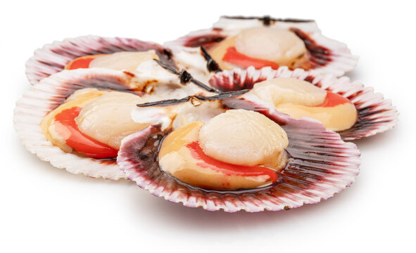 Group of fresh opened scallop with scallop roe or coral close up. File contains clipping path..