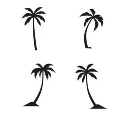Rollo palm tree icon vector illustration template design © Aby49