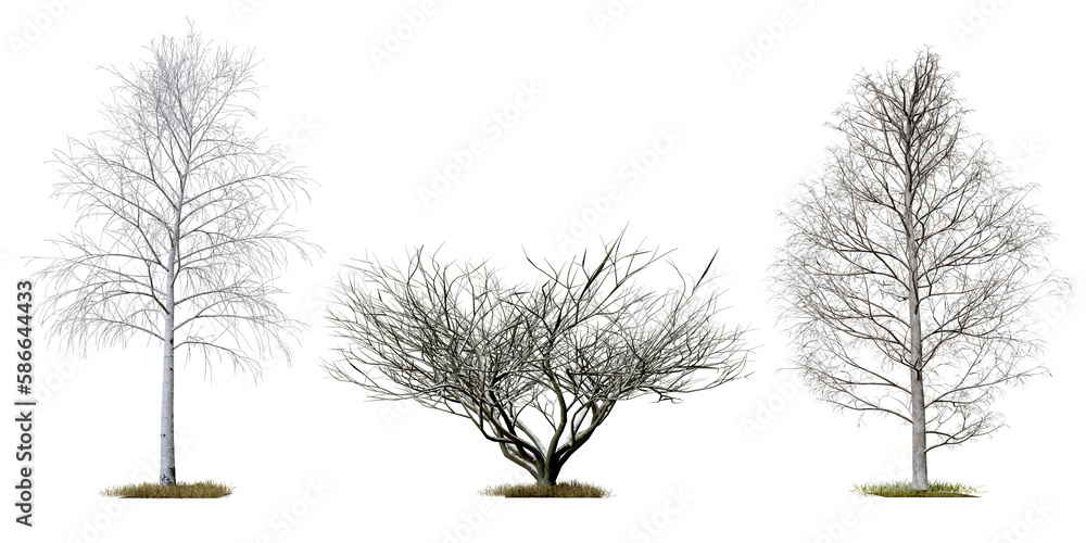 Poster death tree collection png transparent tree, 3d illustration rendering