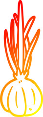 warm gradient line drawing garlic bulb