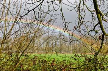 View from the trees and bushes at the edge of a forest across a green field towards a rainbow