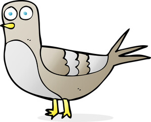 cartoon pigeon