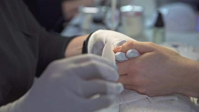 Beauticians' work with clients in a beauty salon