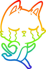 rainbow gradient line drawing crying cartoon cat