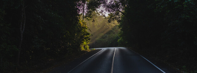 Path way through the autumnal forest natural way concept, travel on the road of nature landscape park outdoor with green tree scenic © chokniti