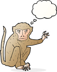 cartoon evil monkey with thought bubble