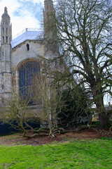 Fototapeta na wymiar Beautiful University building and yard in Cambridge, UK