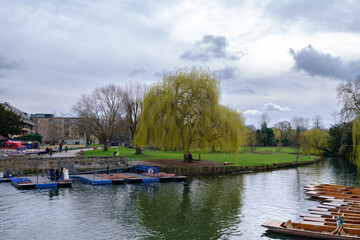 River Cam in Cambridge, England with moored punts at the  shore.