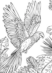 Coloring book for kids.Worksheets for teachers to teach.Macaw parrot in the forest.