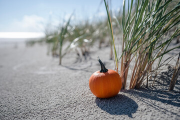 pumpkin on the beach
