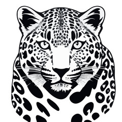 leopard head drawing vector graphics