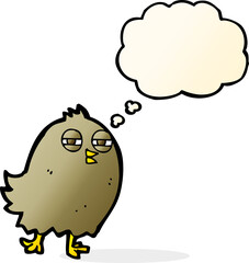 funny cartoon bird with thought bubble