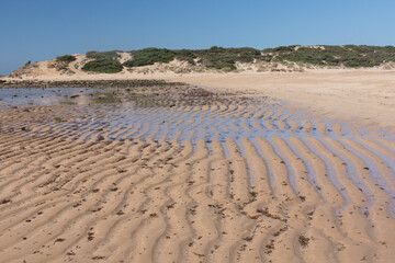 sand dunes on the beach, Trafalgar, Cadiz, Andalusia, low tide, landscape, tourism, travel, historic 