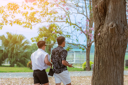Back view of Happiness Gay Couple walk together and take photo with beautiful pink trumpet tree blooming and falling on ground like the pink road. Lgbtq couple in love with beautiful nature outdoor.