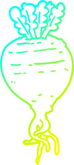 cold gradient line drawing cartoon root vegetable