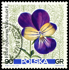 Vintage  postage stamp. Flower Viola trikolor.