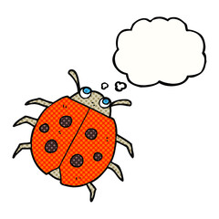 thought bubble cartoon ladybug