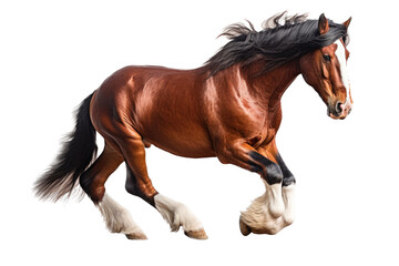 Obraz premium an isolated brown palomino horse running, jumping, side view portrait, equestrian-themed photorealistic illustration on a transparent background cutout in PNG, Generative AI