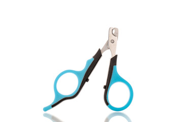 One pair of dog scissors, for trimming the claws, close-up, isolated on a white background.