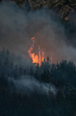 hydrant plane fights fires. Helicopter works on the fires