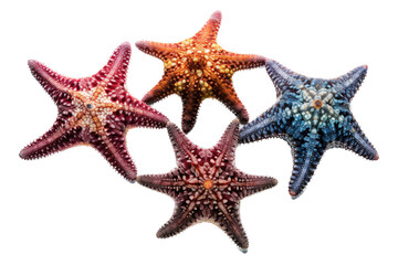 Fototapeta na wymiar a GROUP OF isolated purple, orange starfish, ocean-themed photorealistic illustration on a transparent background cutout in PNG, GENERATIVE AI