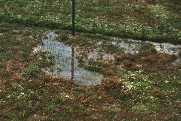 Rain drainage and sewage problems. Hydrophobic and dry soil barely absorb water. Standing water in yard