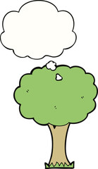 cartoon tree and thought bubble