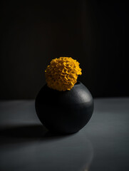 Yellow dried craspedia flowers in black ceramic vase against dark background. Generative AI