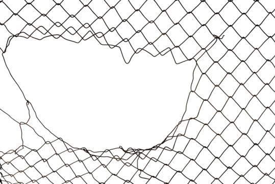 The texture of the metal mesh. Torn, destroyed, broken metal mesh on a white background
