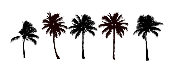Fototapeta na wymiar set of black silhouettes of a palm tree, silhouette of a palm tree isolated