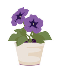 Nature beauty blooms in decorative flower pot