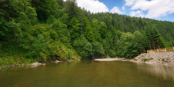 nature landscape with river. forest on the hill. drought and ecology disaster in carpathian region