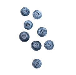Wild sweet blueberry, berries falling and flying in the air isolated on transparent background, PNG
