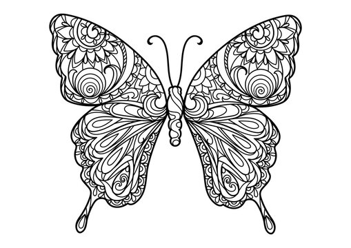 Butterfly coloring book for adults PNG illustration with transparent background