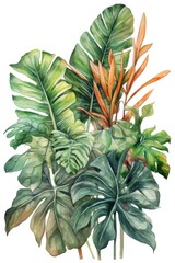 Fototapeta premium Tropical Plants Watercolor Isolated on White Background