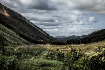 Valley looking towards Moffat, Scotland
