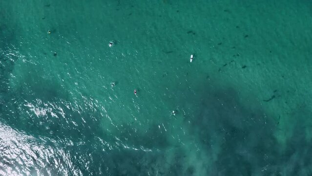 Aerial view of surfers in California.