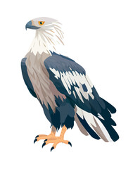 Bird of prey soars in natures sky