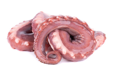 Squid tentacles isolated on white background. Fresh raw gigant squid.