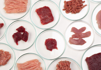 Checking meat quality in a laboratory. Chicken, beef and pork samples in petri dishes, top view. Food quality concept.