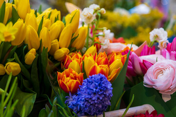 Fototapeta premium Close-up view of various multi-colored flowers (roses, tulips and hyacinths) on showcase of florist shop. Soft focus. Flower business theme.