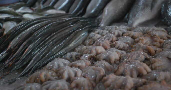 General View On Various Sea Fishes On Ice On Market Store Shop. Fresh Garfish On Ice On Market Store Shop. Small Octopuses. Belone Belone. Seafood Fish Background.