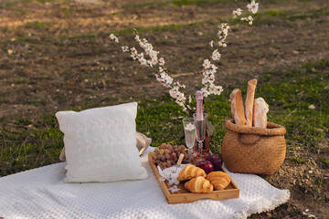 Fototapeta na wymiar Picnic in spring under a tree in nature. A gourmet picnic in the park, laid out on a carpet around wine, cheese, fresh fruit, croissants.