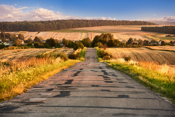 An old road leading down through the rural landscapes of the Lublin region - obrazy, fototapety, plakaty